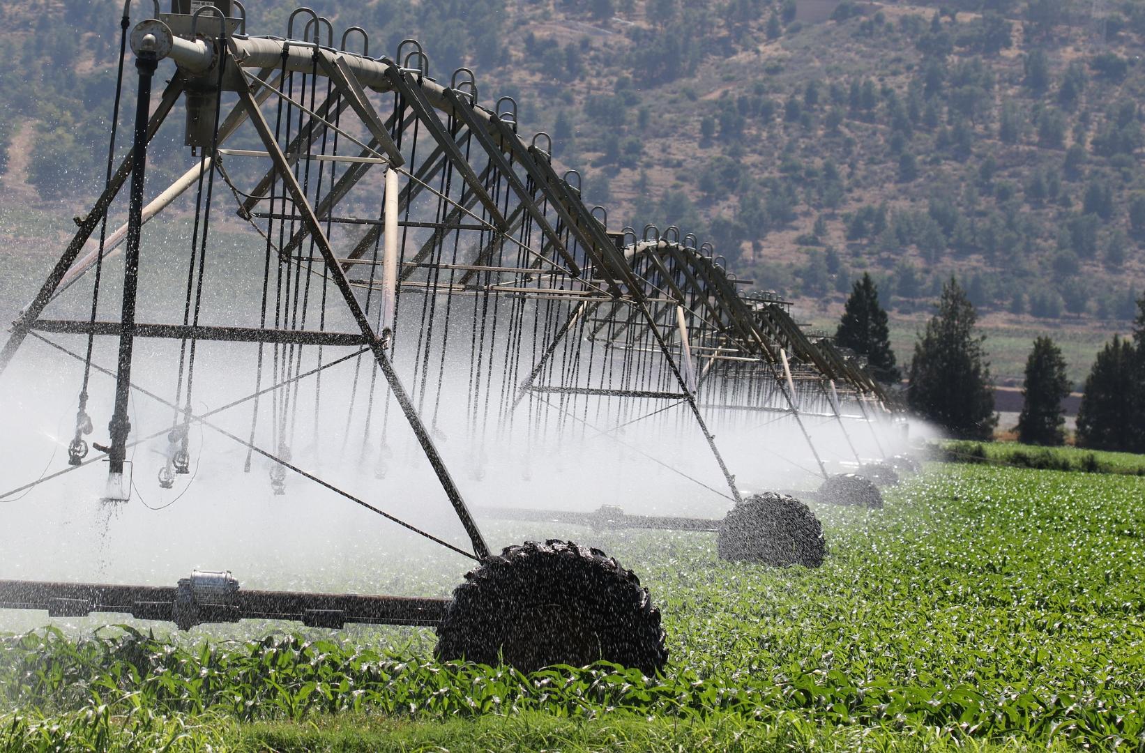 Supporting Climate Innovators at the Critical Moment